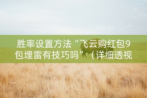 胜率设置方法“飞云购红包9包埋雷有技巧吗”（详细透视教程）-哔哩哔哩