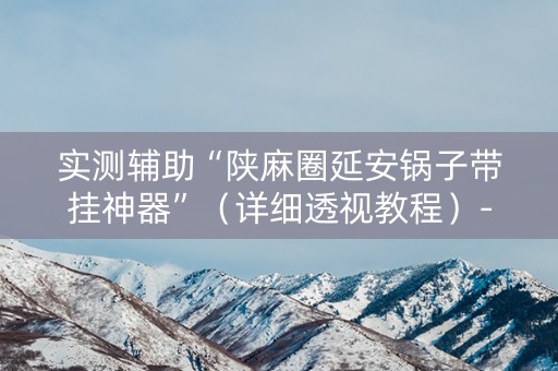 实测辅助“陕麻圈延安锅子带挂神器”（详细透视教程）-哔哩哔哩