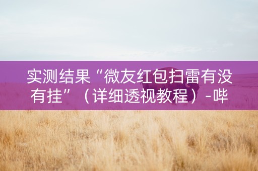 实测结果“微友红包扫雷有没有挂”（详细透视教程）-哔哩哔哩