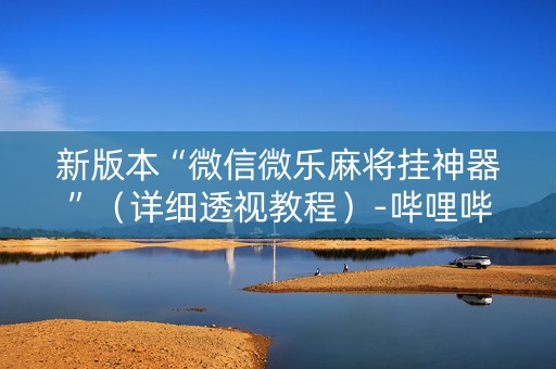 新版本“微信微乐麻将挂神器”（详细透视教程）-哔哩哔哩