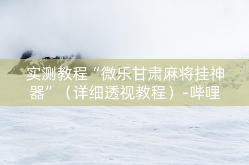 实测教程“微乐甘肃麻将挂神器”（详细透视教程）-哔哩哔哩