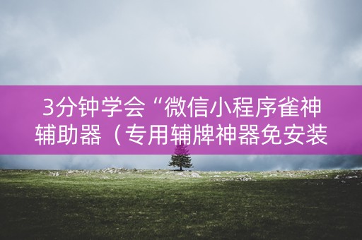 3分钟学会“微信小程序雀神辅助器（专用辅牌神器免安装）