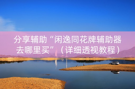 分享辅助“闲逸同花牌辅助器去哪里买”（详细透视教程）-哔哩哔哩