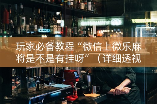 玩家必备教程“微信上微乐麻将是不是有挂呀”（详细透视教程）-哔哩哔哩
