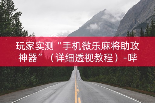 玩家实测“手机微乐麻将助攻神器”（详细透视教程）-哔哩哔哩