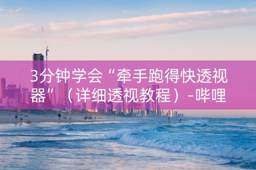 3分钟学会“牵手跑得快透视器”（详细透视教程）-哔哩哔哩