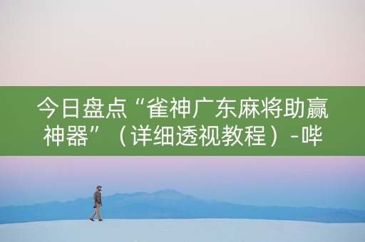 今日盘点“雀神广东麻将助赢神器”（详细透视教程）-哔哩哔哩