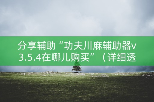 分享辅助“功夫川麻辅助器v3.5.4在哪儿购买”（详细透视教程）-哔哩哔哩