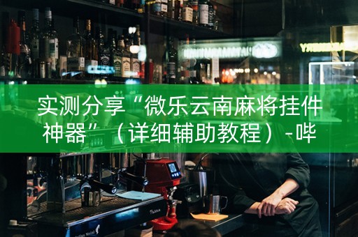 实测分享“微乐云南麻将挂件神器”（详细辅助教程）-哔哩哔哩