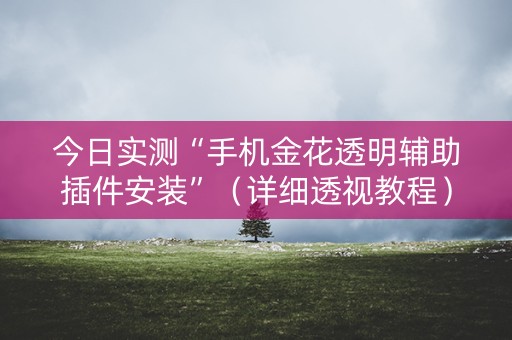 今日实测“手机金花透明辅助插件安装”（详细透视教程）-哔哩哔哩