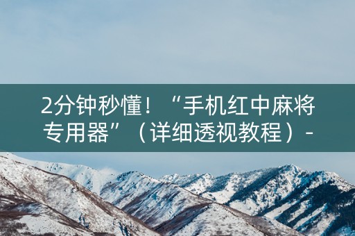2分钟秒懂！“手机红中麻将专用器”（详细透视教程）-哔哩哔哩