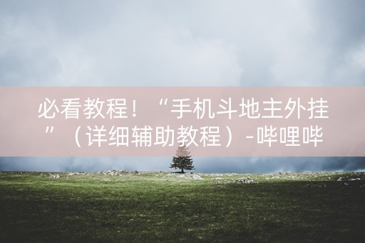 必看教程！“手机斗地主外挂”（详细辅助教程）-哔哩哔哩