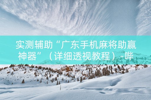 实测辅助“广东手机麻将助赢神器”（详细透视教程）-哔哩哔哩