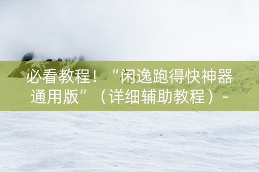 必看教程！“闲逸跑得快神器通用版”（详细辅助教程）-哔哩哔哩