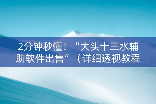 2分钟秒懂！“大头十三水辅助软件出售”（详细透视教程）-哔哩哔哩