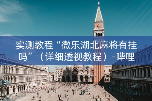 实测教程“微乐湖北麻将有挂吗”（详细透视教程）-哔哩哔哩