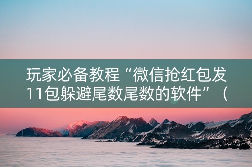 玩家必备教程“微信抢红包发11包躲避尾数尾数的软件”（详细透视教程）-哔哩哔哩