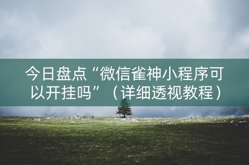 今日盘点“微信雀神小程序可以开挂吗”（详细透视教程）-哔哩哔哩