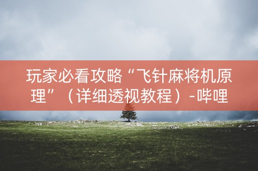 玩家必看攻略“飞针麻将机原理”（详细透视教程）-哔哩哔哩