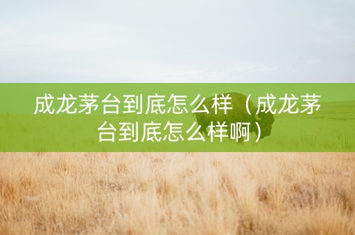 成龙茅台到底怎么样（成龙茅台到底怎么样啊）