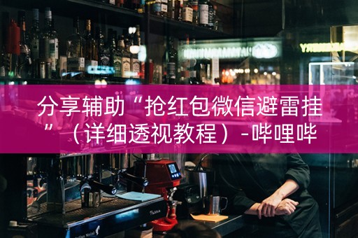 分享辅助“抢红包微信避雷挂”（详细透视教程）-哔哩哔哩