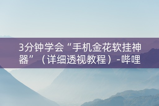 3分钟学会“手机金花软挂神器”（详细透视教程）-哔哩哔哩