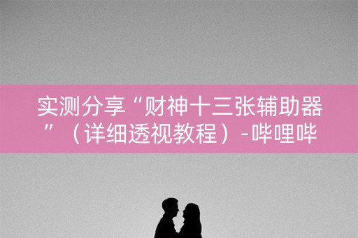 实测分享“财神十三张辅助器”（详细透视教程）-哔哩哔哩