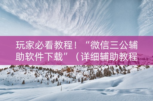 玩家必看教程！“微信三公辅助软件下载”（详细辅助教程）-哔哩哔哩