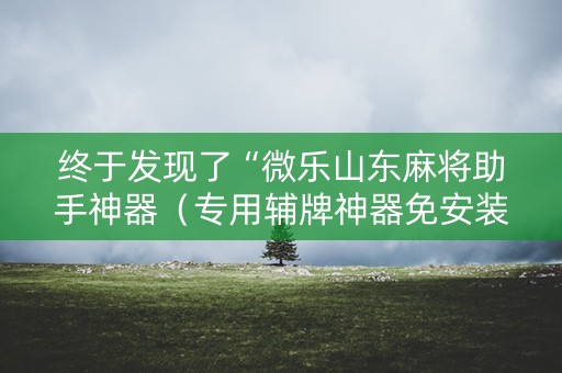 终于发现了“微乐山东麻将助手神器（专用辅牌神器免安装）