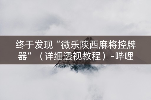 终于发现“微乐陕西麻将控牌器”（详细透视教程）-哔哩哔哩