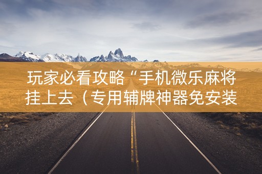 玩家必看攻略“手机微乐麻将挂上去（专用辅牌神器免安装）