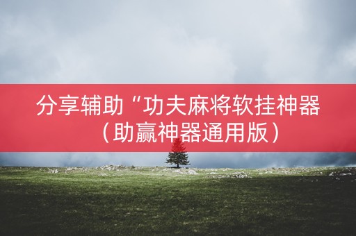 分享辅助“功夫麻将软挂神器（助赢神器通用版）