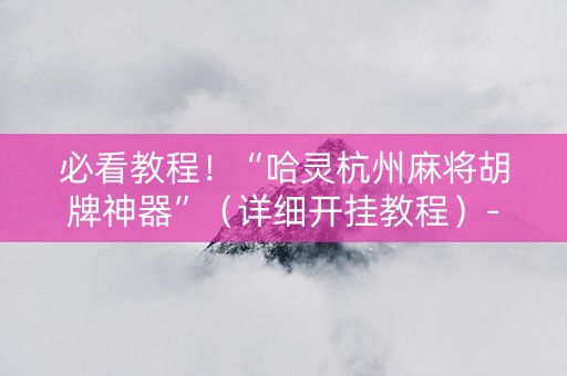 必看教程！“哈灵杭州麻将胡牌神器”（详细开挂教程）-哔哩哔哩
