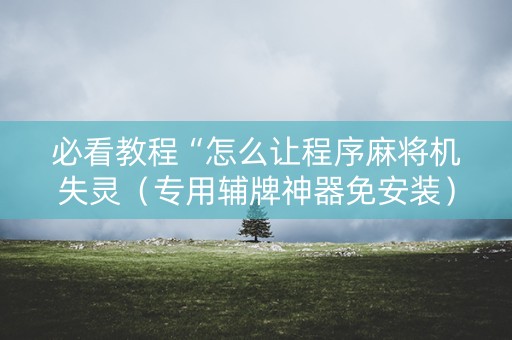 必看教程“怎么让程序麻将机失灵（专用辅牌神器免安装）