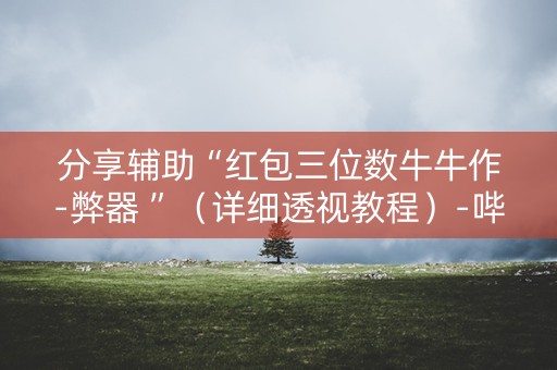 分享辅助“红包三位数牛牛作-弊器 ”（详细透视教程）-哔哩哔哩