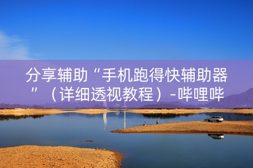 分享辅助“手机跑得快辅助器”（详细透视教程）-哔哩哔哩