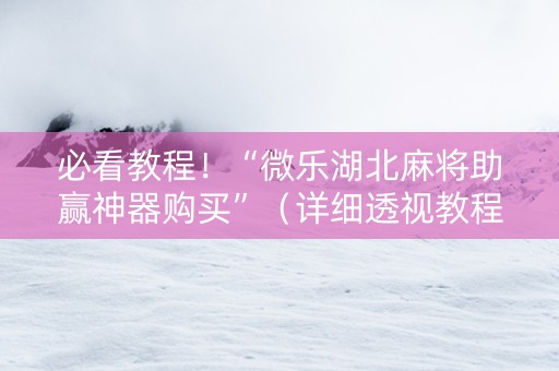 必看教程！“微乐湖北麻将助赢神器购买”（详细透视教程）-哔哩哔哩