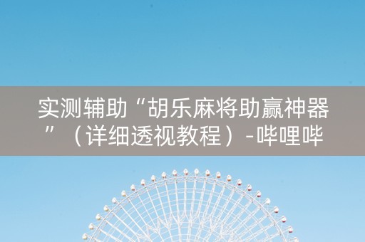 实测辅助“胡乐麻将助赢神器”（详细透视教程）-哔哩哔哩