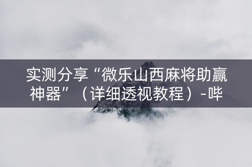 实测分享“微乐山西麻将助赢神器”（详细透视教程）-哔哩哔哩