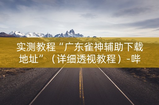 实测教程“广东雀神辅助下载地址”（详细透视教程）-哔哩哔哩