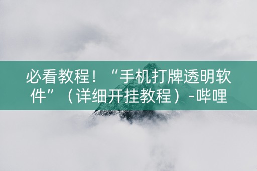 必看教程！“手机打牌透明软件”（详细开挂教程）-哔哩哔哩