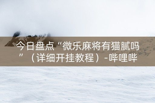 今日盘点“微乐麻将有猫腻吗”（详细开挂教程）-哔哩哔哩