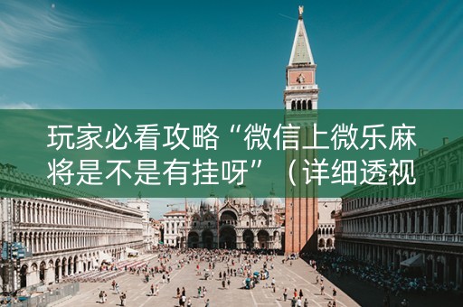 玩家必看攻略“微信上微乐麻将是不是有挂呀”（详细透视教程）-哔哩哔哩