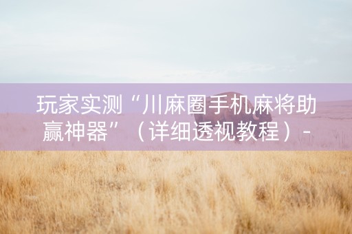 玩家实测“川麻圈手机麻将助赢神器”（详细透视教程）-哔哩哔哩