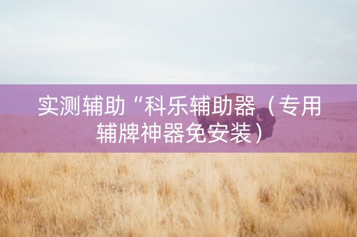 实测辅助“科乐辅助器（专用辅牌神器免安装）