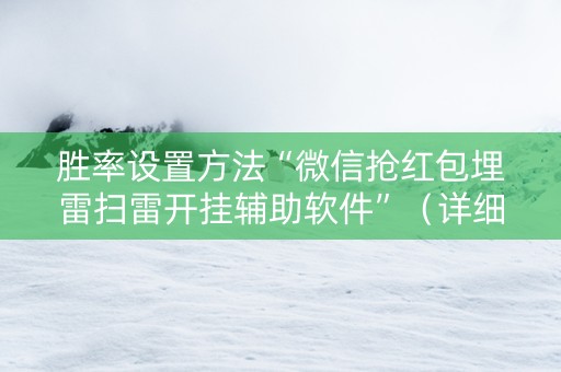 胜率设置方法“微信抢红包埋雷扫雷开挂辅助软件”（详细透视教程）-哔哩哔哩