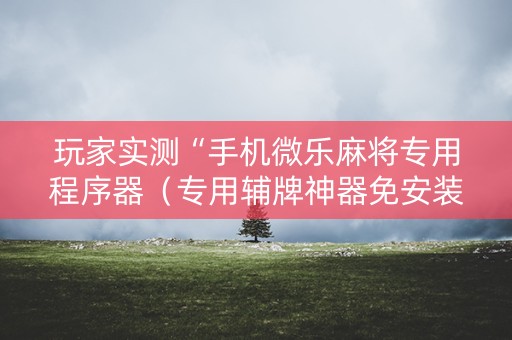 玩家实测“手机微乐麻将专用程序器（专用辅牌神器免安装）