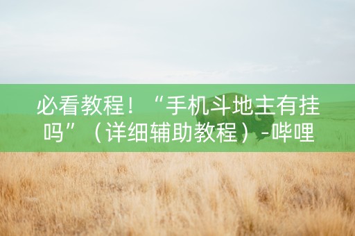 必看教程！“手机斗地主有挂吗”（详细辅助教程）-哔哩哔哩