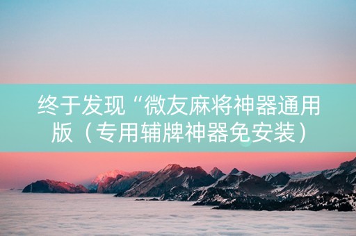 终于发现“微友麻将神器通用版（专用辅牌神器免安装）
