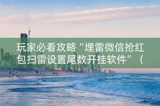 玩家必看攻略“埋雷微信抢红包扫雷设置尾数开挂软件”（详细透视教程）-哔哩哔哩